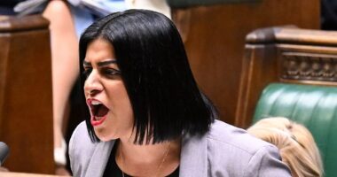 QUENTIN LETTS: Castration! The Secretary of State was desperate to depict herself as a toughie, so she aimed below the belt