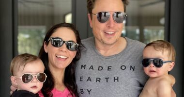 REVEALED: Elon Musk's ancient masculine obsession driving him to sire 'legions' of offspring