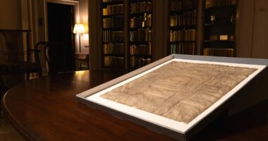 Rare 1300 Magna Carta discovered at Harvard after 77 years of presumed illegitimacy