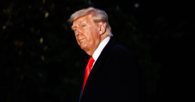 Reality TV star BOOED walking into Trump’s VIP dinner as press sec Karoline Leavitt hits back at Dems raging over event