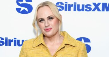 Rebel Wilson SLAMS the lead star of her own film in scathing social media post