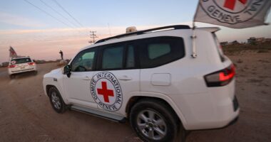 Red Cross fighting to reach hostages, alleviate 'catastrophic' situation in Gaza