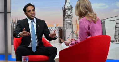 Reform UK chairman vows to use 'every instrument of power available' to stop migrants being housed in council areas his party now controls - and he says they'll get 400 MPs