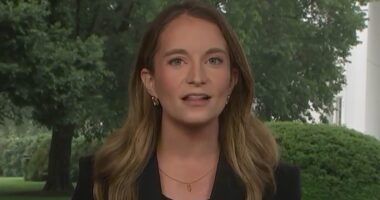 Reporter BOASTS about Trump 'chicken' question that sparked meltdown