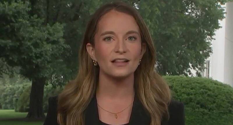 Reporter BOASTS about Trump 'chicken' question that sparked meltdown