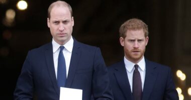 Revealed: How Prince William went 'ballistic' after he was presented with a 'dossier of distress' documenting claims about Meghan Markle's treatment of staff