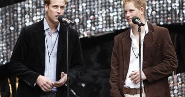 Prince William and Prince Harry speak on stage at the Concert for Diana on July 1, 2007