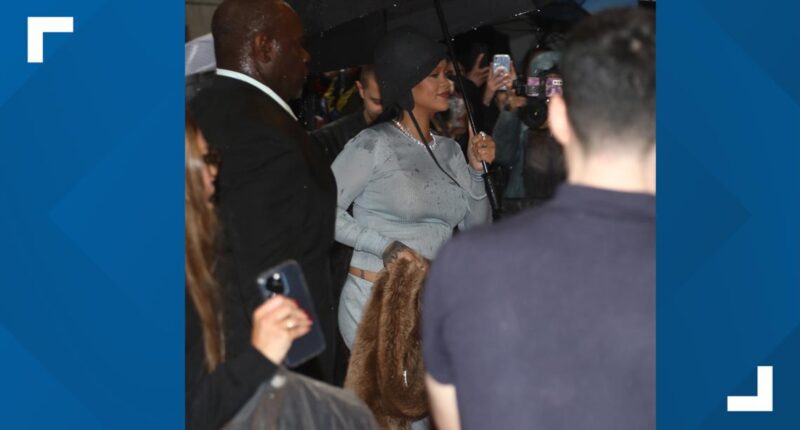 Rihanna debuts baby bump during Met Gala
