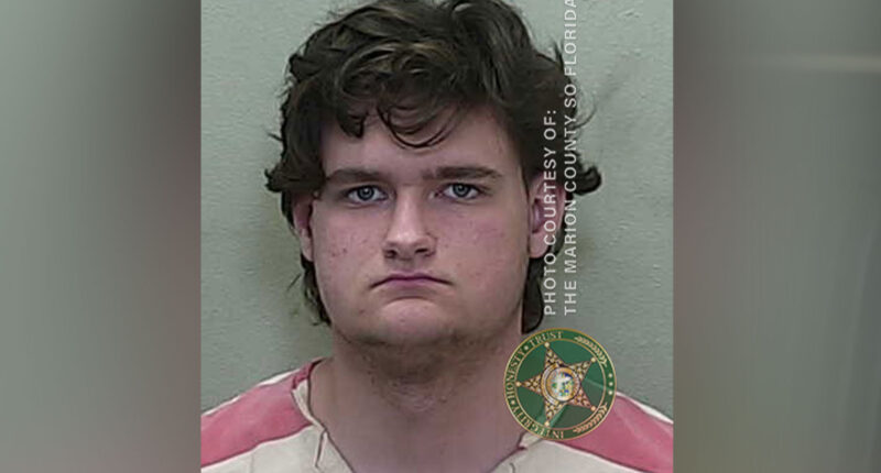 Roblox warning as ‘vile’ teen ‘admits to sexually exploiting children on gaming platform’ after ‘targeting five per day’