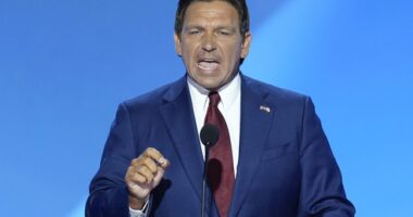 Ron DeSantis Goes Beast Mode on Pro-Illegal Alien Reporter