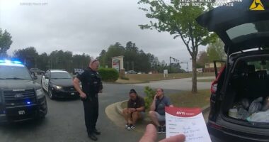 San Lorenzo, California couple stopped by Suwanee, Georgia police for Avis rental car registration mistake