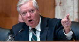 Sen. Lindsey Graham gets a 2026 challenge from Democrat Annie Andrews, who ran against Nancy Mace
