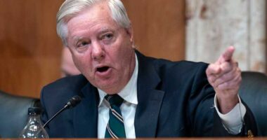 Sen. Lindsey Graham gets a 2026 challenge from Democrat Annie Andrews, who ran against Nancy Mace