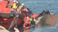 Seven migrants drown as boat capsizes at Spain's Canary Islands dock