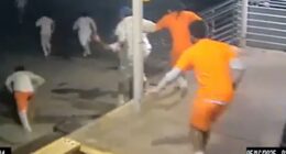 Seven prisoners remain on the run after ‘Shawshank Redemption’ New Orleans jailbreak through hole in wall behind toilet