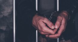 Sheriff reveals 26 illegal migrants not on federal 'radar' among 255 arrested in Florida sex-trafficking sting