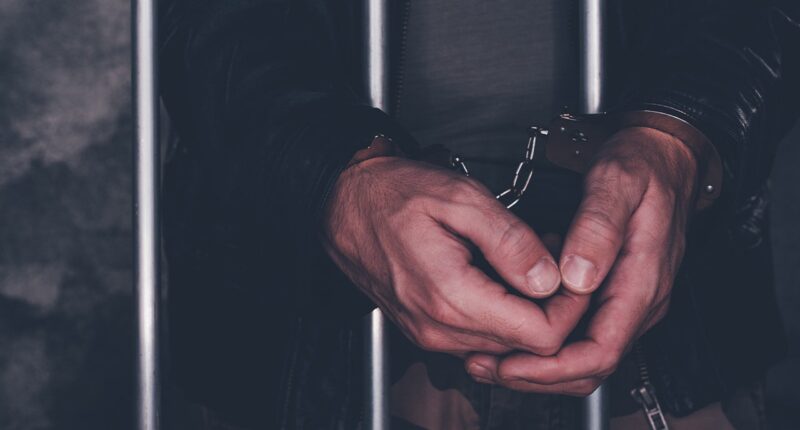 Sheriff reveals 26 illegal migrants not on federal 'radar' among 255 arrested in Florida sex-trafficking sting