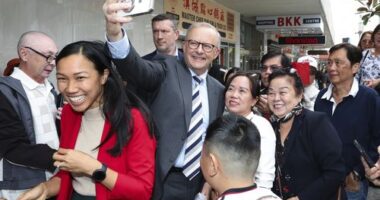 Prime Minister Anthony Albanese and Labor candidate for Fowler, Tu Le