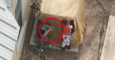 Shocking moment boys, 7 & 9, are shot at by cops as they refuse to drop GUN in horror standoff in New Mexico