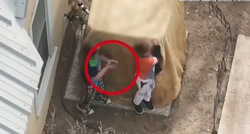 Shocking moment boys, 7 & 9, are shot at by cops as they refuse to drop GUN in horror standoff in New Mexico