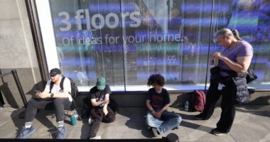 Shoppers queue to be first into IKEA's new £450million Oxford Street flatpack flagship - but how do you get your purchases home?