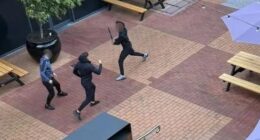 Shopping centre on lockdown as machete-armed gangs brawl sending customers fleeing in panic in Australia