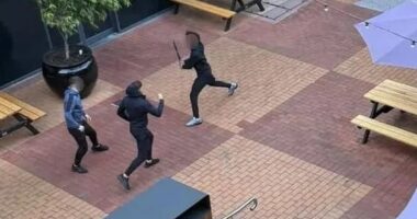 Shopping centre on lockdown as machete-armed gangs brawl sending customers fleeing in panic in Australia