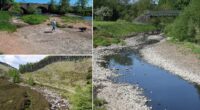 Shower quickly and don't use garden hoses, warn water bosses amid driest spell in 60 years