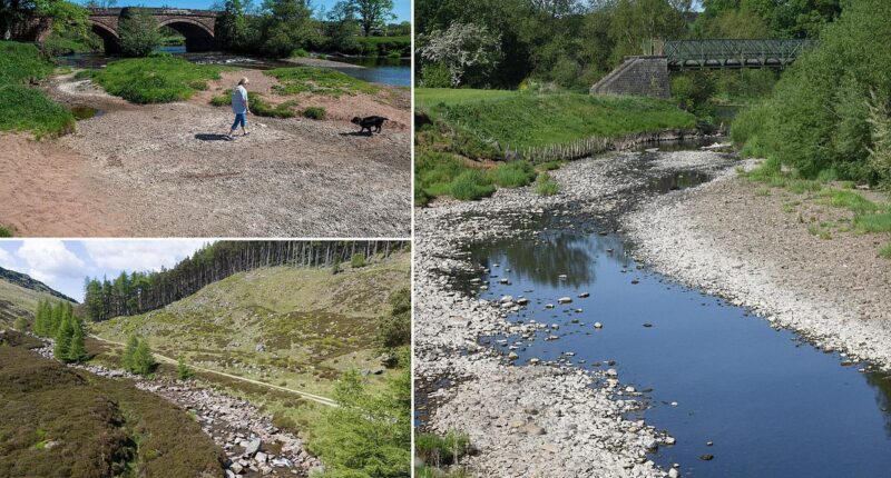 Shower quickly and don't use garden hoses, warn water bosses amid driest spell in 60 years