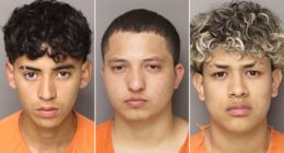 Six illegal migrants charged in South Carolina mother's murder defy 'decency' in 'civilized society': sheriff