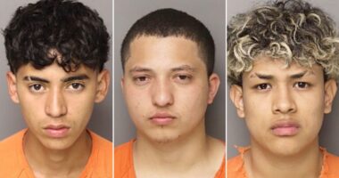 Six illegal migrants charged in South Carolina mother's murder defy 'decency' in 'civilized society': sheriff
