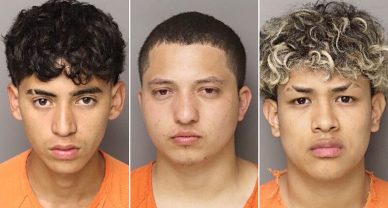 Six illegal migrants charged in South Carolina mother's murder defy 'decency' in 'civilized society': sheriff