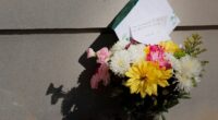 Social media support for accused killers Luigi Mangione, Elias Rodriguez an 'exceptionally bad sign': expert