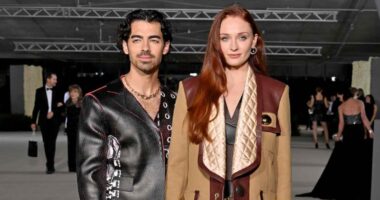 Sophie Turner Praises Joe Jonas' Solo Album After Divorce: 'Go Go'