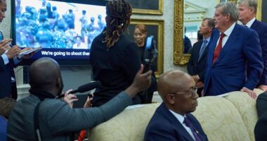 South Africa police minister says Trump 'twisted' facts to push baseless genocide claims