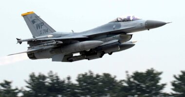 State Department approves sale of $1.4B worth of helicopters, F-16 parts to UAE ahead of Trump's visit