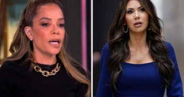 Sunny Hostin Drags Kristi Noem On ‘The View’ After Habeas Corpus Embarrassment: “The Puppy Killer Is Not That Smart”