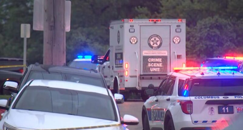 Suspect accused of shooting, injuring 2 Mifflin Township police officers found, authorities say