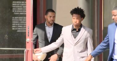 Suspected Austin Metcalf killer allowed to graduate from high school despite murder charge: report