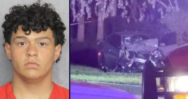 Teen killed couple in crash that 'split' car in half: Cops
