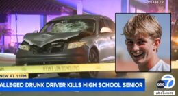 Tennis star killed by driver after moving due to fires: Cops