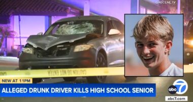 Tennis star killed by driver after moving due to fires: Cops