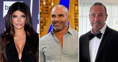 Teresa Giudice Jokes Ex Joe Would 'Body Slam' Her Brother in Boxing Match