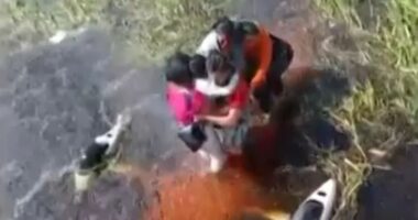 Terrified crash survivors cling to plane for 36 hours in alligator-infested swamp after emergency landing in Amazon