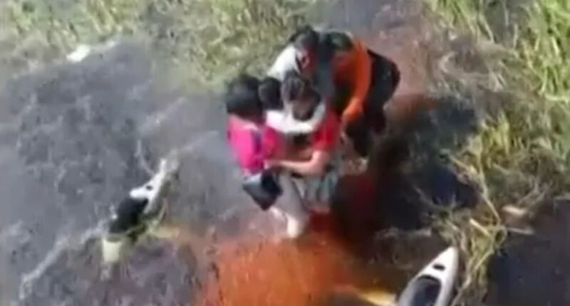 Terrified crash survivors cling to plane for 36 hours in alligator-infested swamp after emergency landing in Amazon