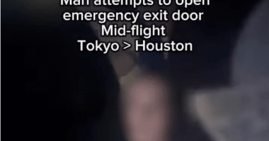 Terrifying moment passenger zip-tied to seat after trying to open plane door mid-flight forcing emergency landing