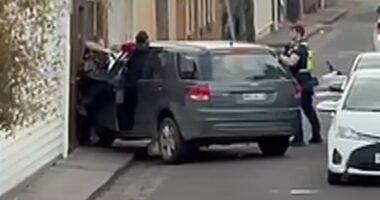 Terrifying moment screaming cop shoots woman driver dead  after being left pinned & crushed against wall by car