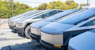 Tesla customers stunned after discovering worrying detail about Elon Musk's electric vehicles