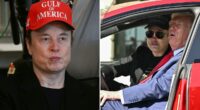 Tesla searches for new CEO to replace Elon Musk amid stock turmoil and forces White House exit