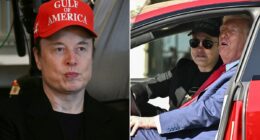 Tesla searches for new CEO to replace Elon Musk amid stock turmoil and forces White House exit